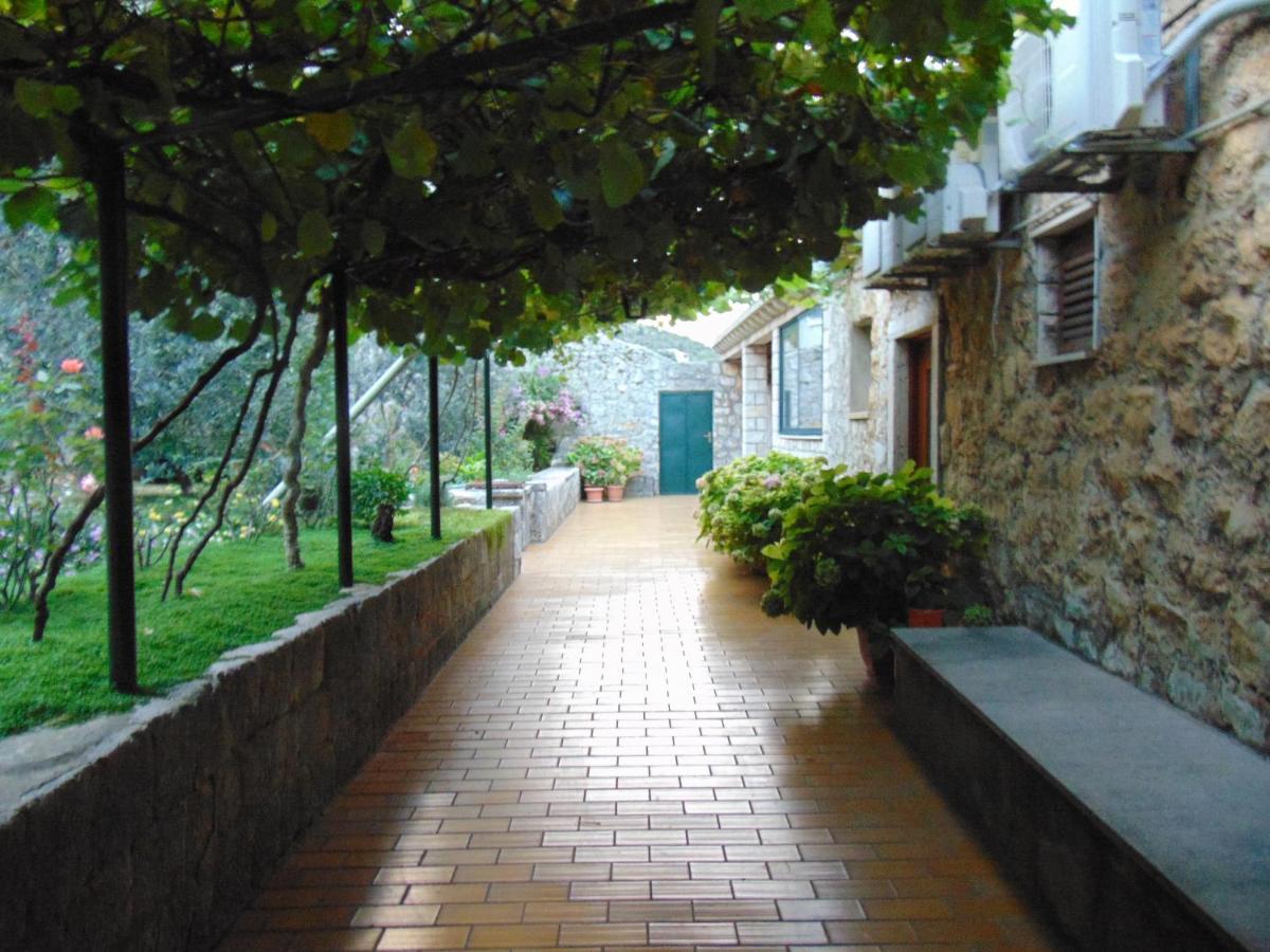 Villa Jelka Apartment Zaton  Exterior foto